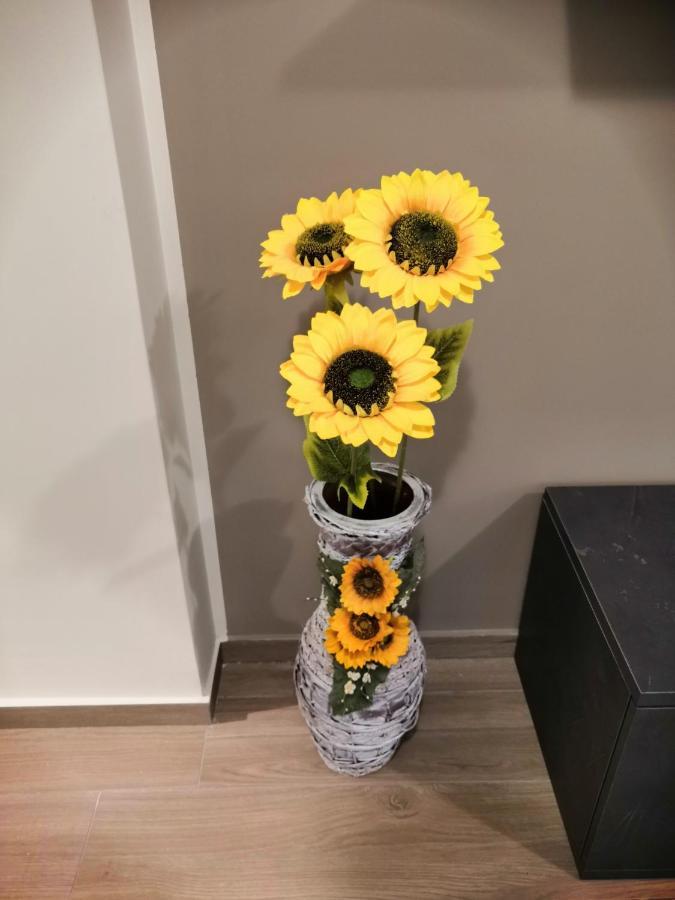 La Casa Dei Girasoli Marsala Zewnętrze zdjęcie